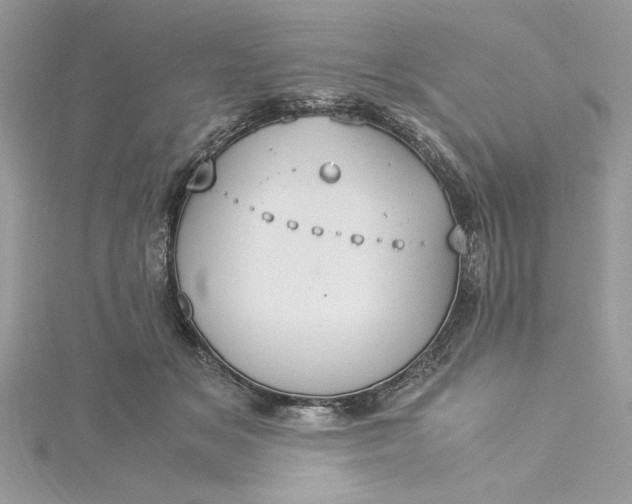 X0000115350509200911171335