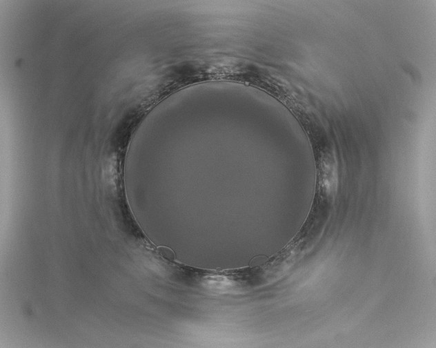 X0000115350519200911171334