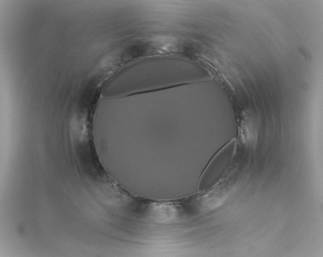 X0000115350520200911171334