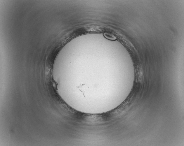 X0000115350521200911171334