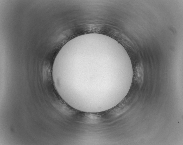 X0000115350522200911171334