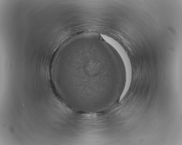 X0000115350524200911171334