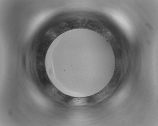 X0000115350526200911171334