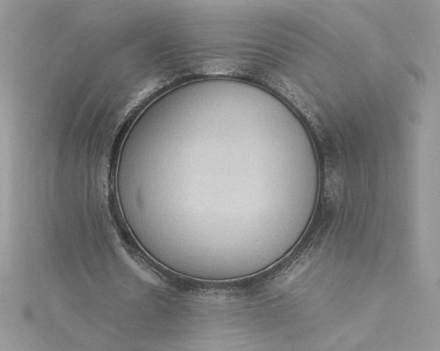 X0000115350530200911171334