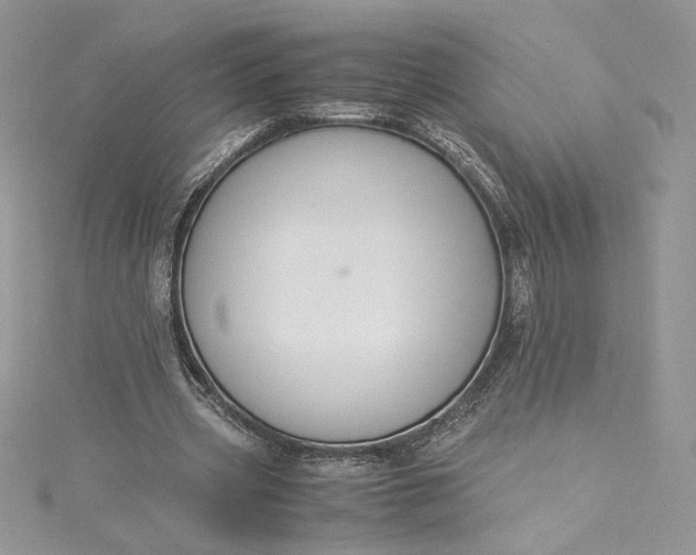 X0000115350533200911171334