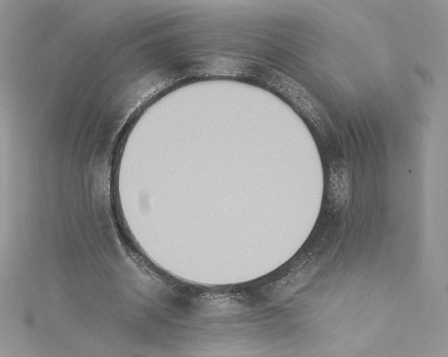 X0000115350534200911171334