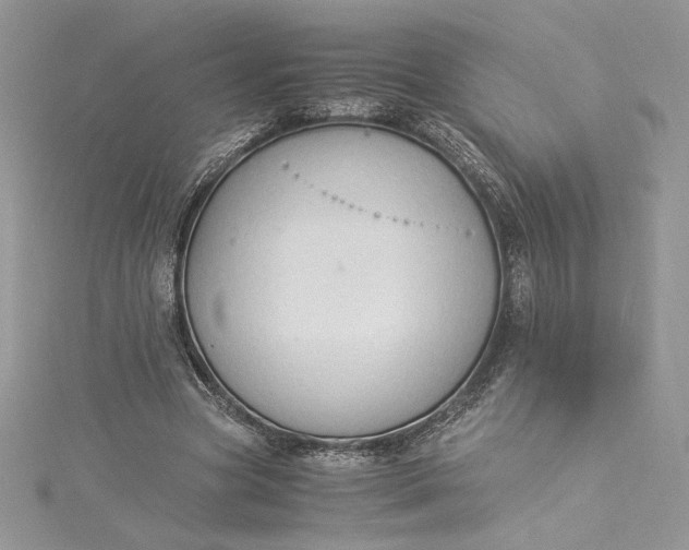 X0000115350537200911171334