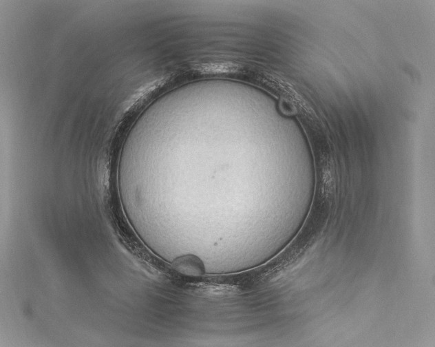 X0000115350539200911171334