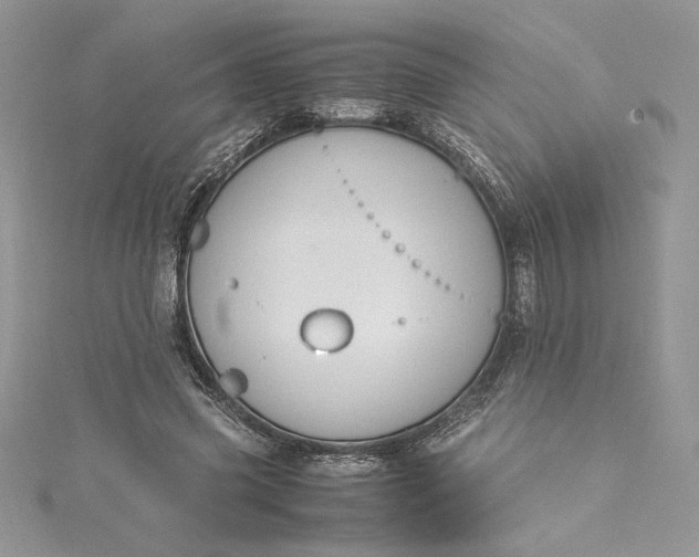 X0000115350541200911171334