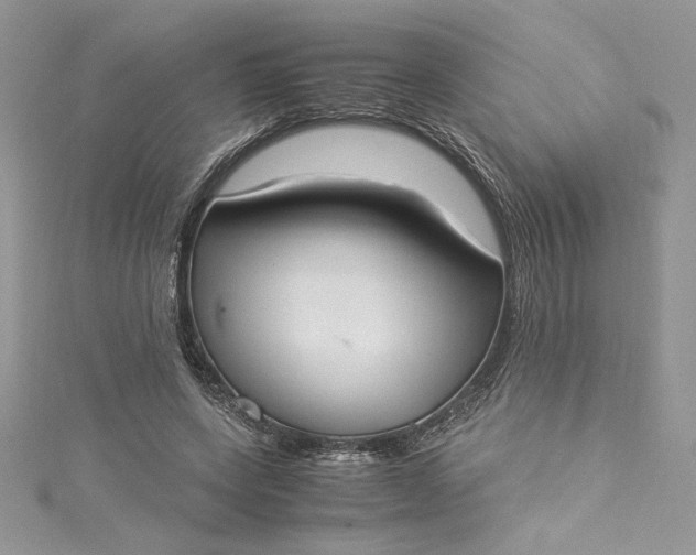 X0000115350543200911171334