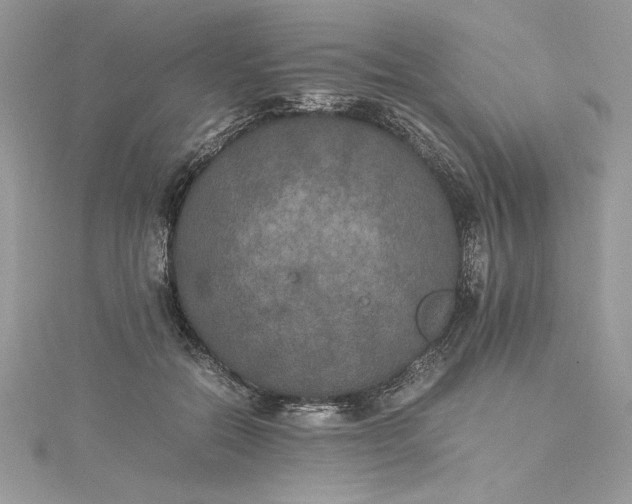 X0000115350554200911171334