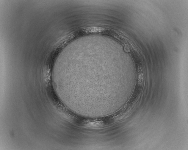 X0000115350555200911171334