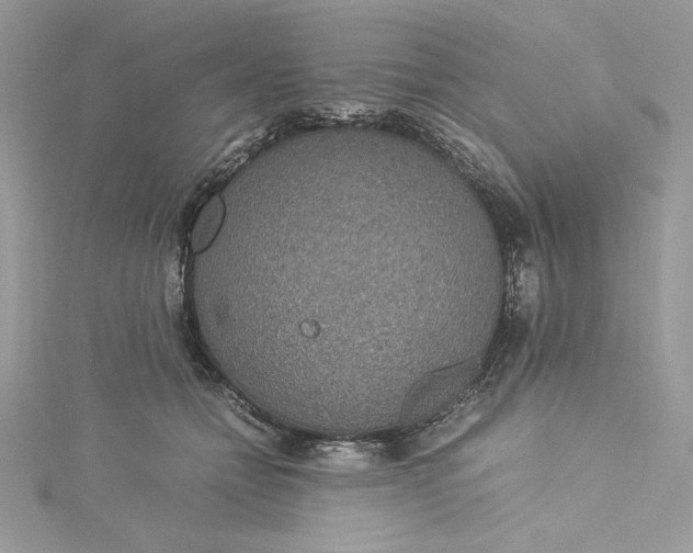 X0000115350558200911171334