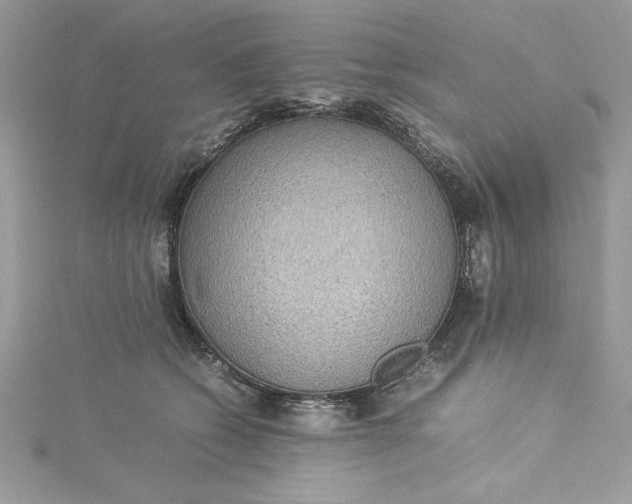 X0000115350562200911171334