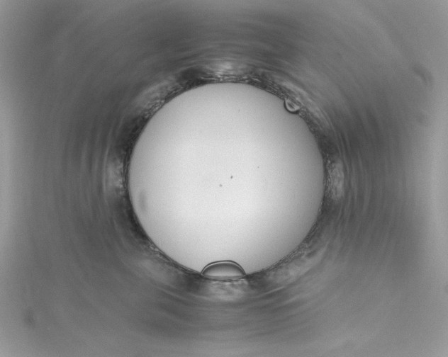 X0000115350571200911171334