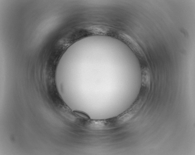 X0000115350573200911171334