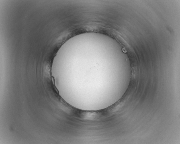 X0000115350575200911171334
