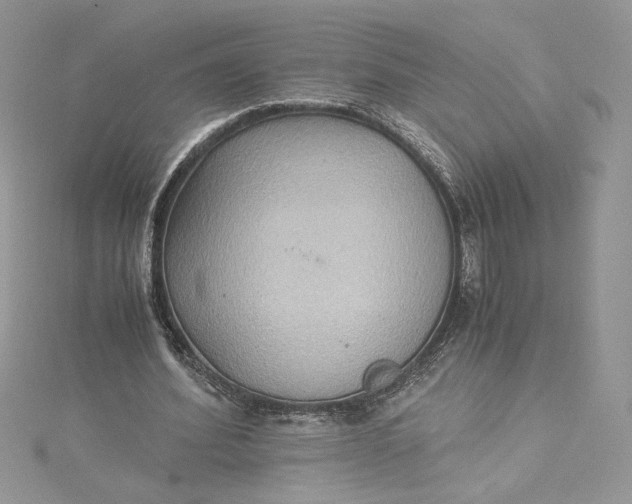 X0000115350580200911171334