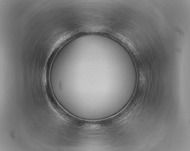 X0000115350582200911171334