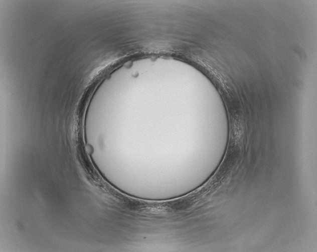 X0000115350583200911171334