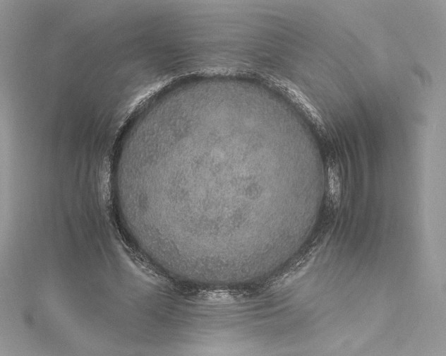 X0000115350588200911171334