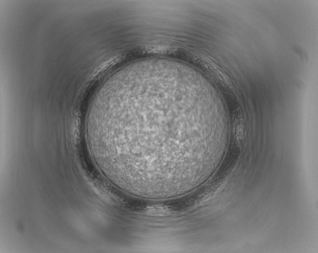 X0000115350591200911171334