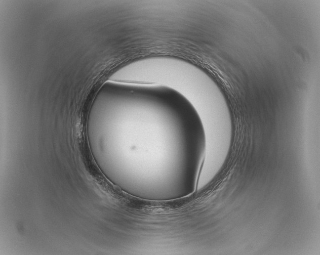 X0000115350597200911171333