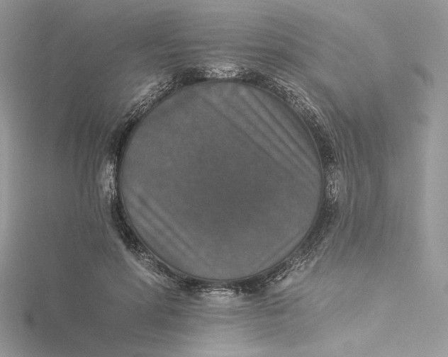 X0000115350598200911171333