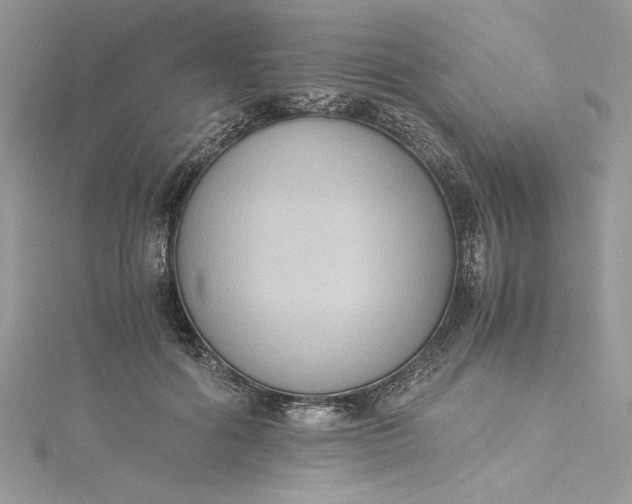 X0000115350602200911171333