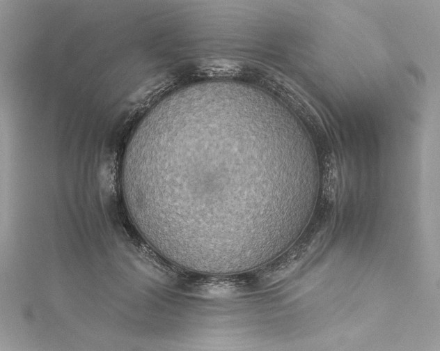 X0000115350604200911171333