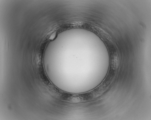 X0000115350608200911171333