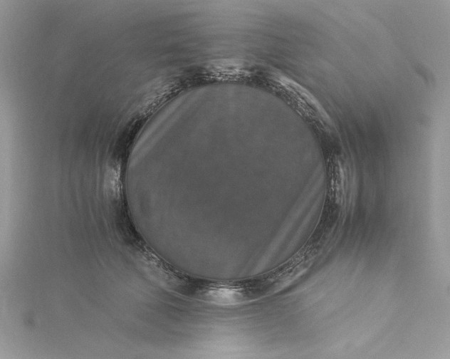 X0000115350610200911171333