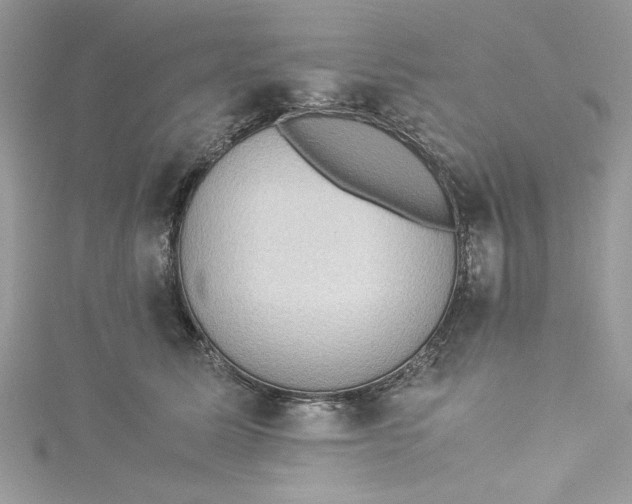 X0000115350611200911171333