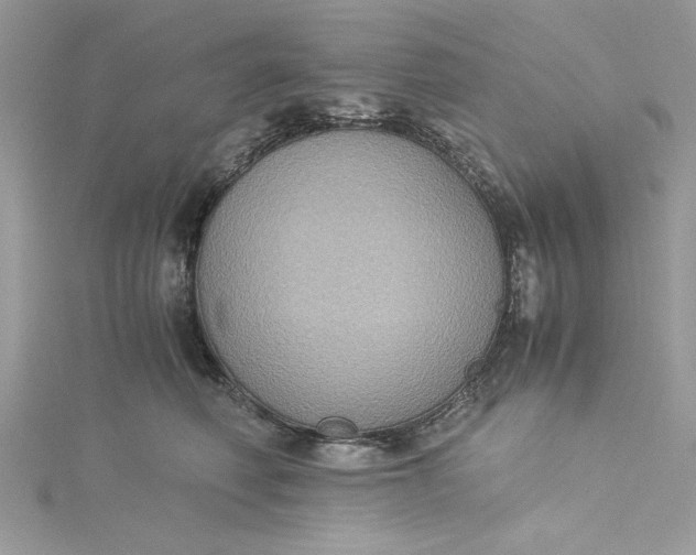 X0000115350614200911171333