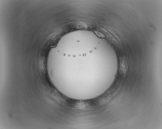 X0000115350616200911171333