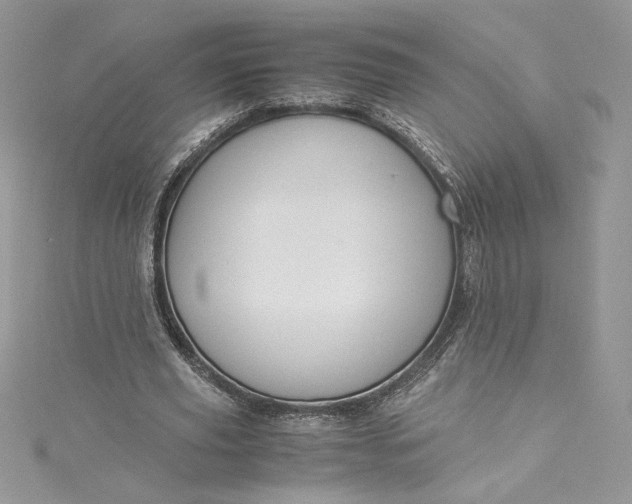 X0000115350629200911171332