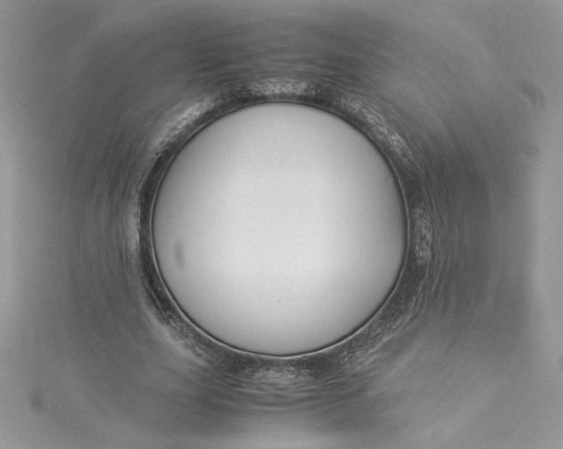 X0000115350631200911171332