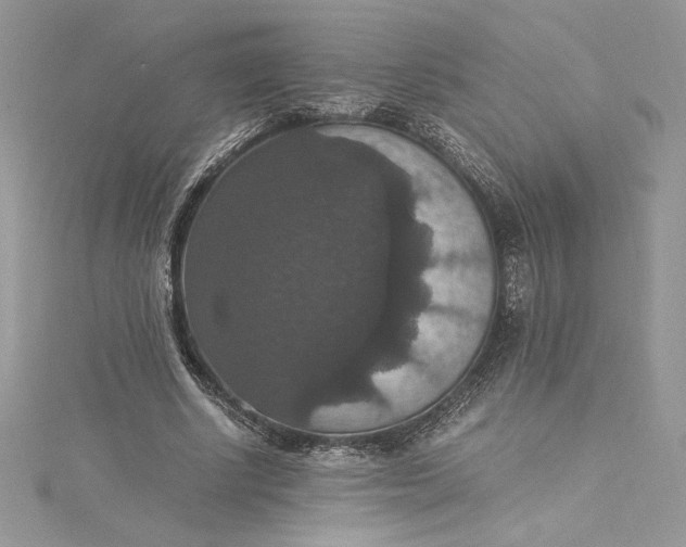 X0000115350634200911171332