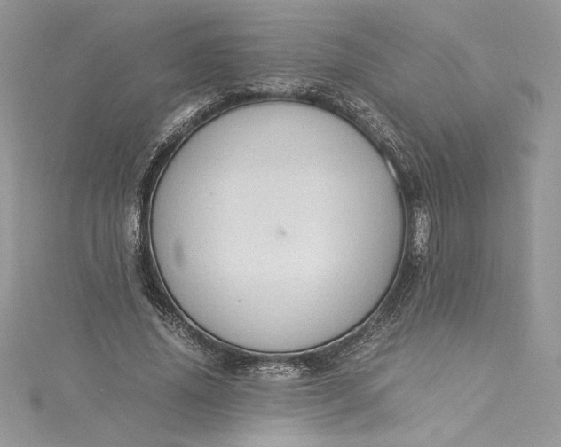 X0000115350636200911171332