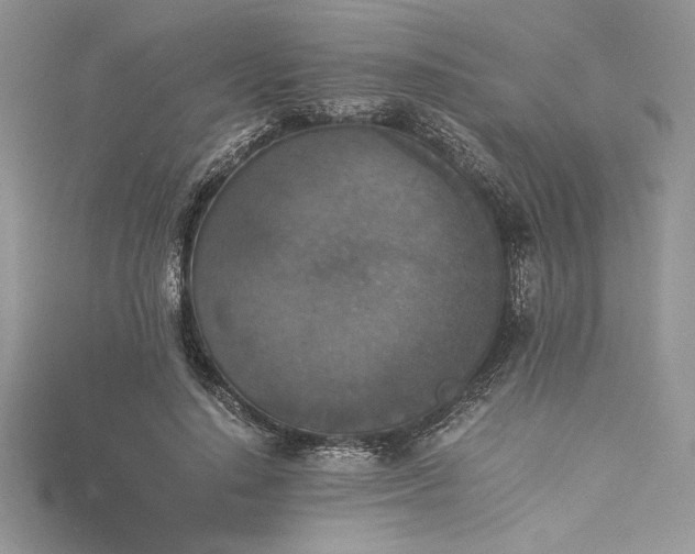 X0000115350644200911171333
