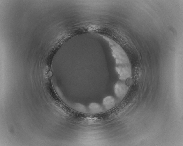 X0000115350650200911171333