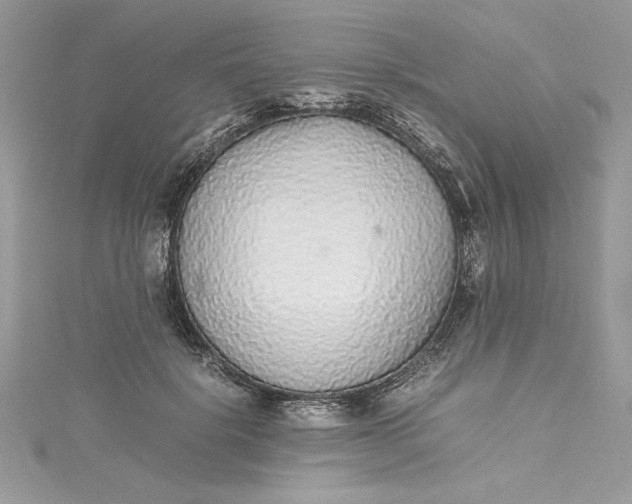 X0000115350652200911171333