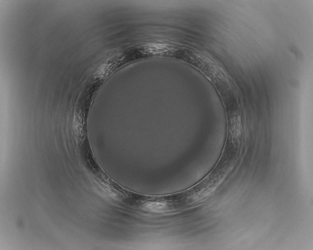 X0000115350653200911171333