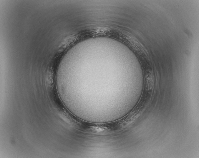 X0000115350654200911171333