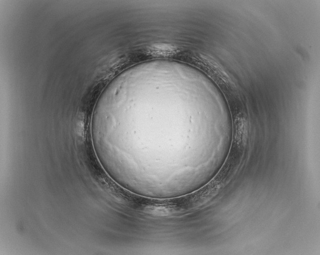 X0000115350655200911171333
