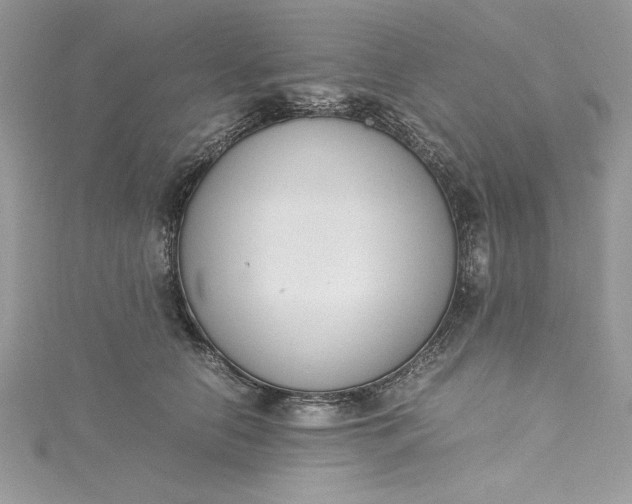 X0000115350658200911171333