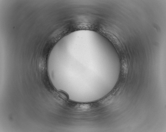 X0000115350665200911171333