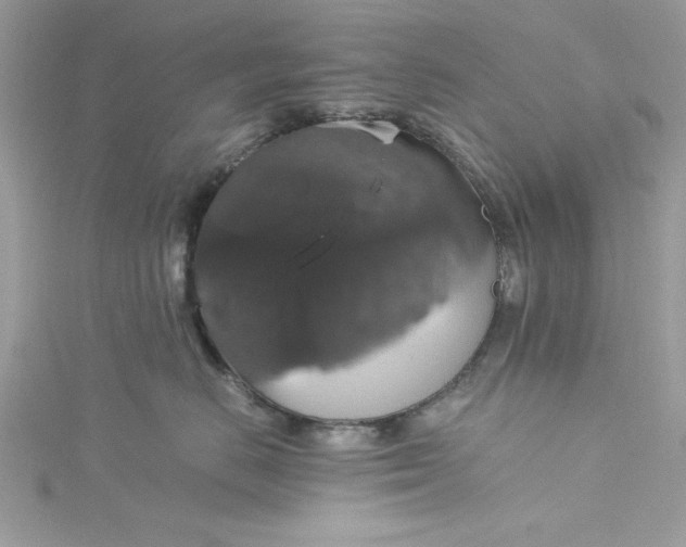 X0000115350670200911171333