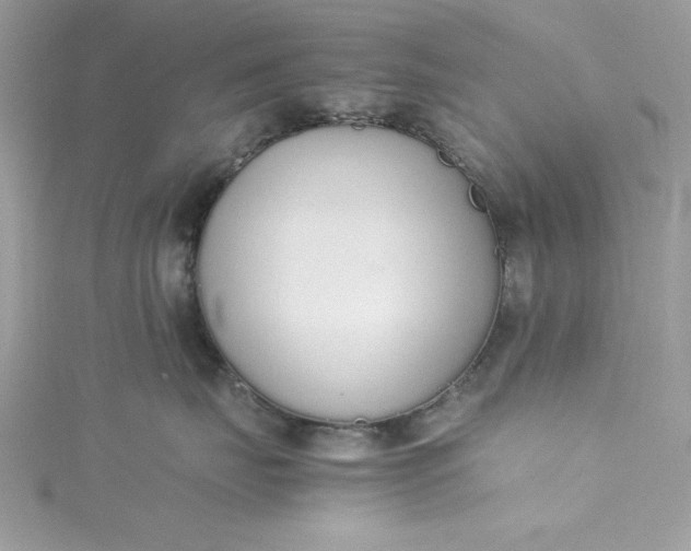X0000115350671200911171333