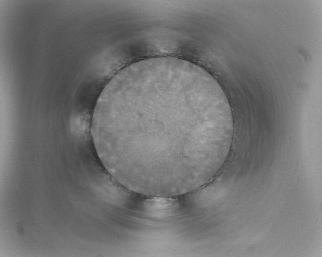 X0000115350672200911171333